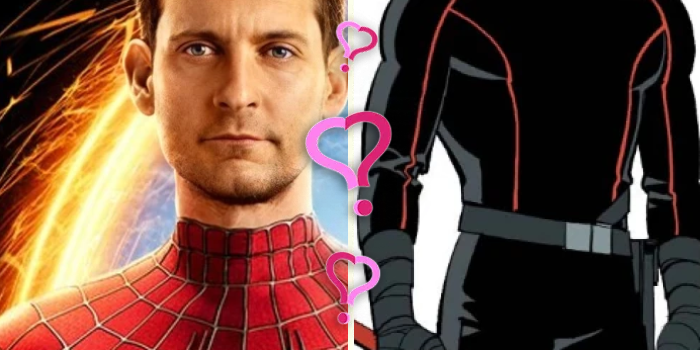 Cover Photo: Which Your Friendly Neighborhood Spider-Man Character Are You Quiz