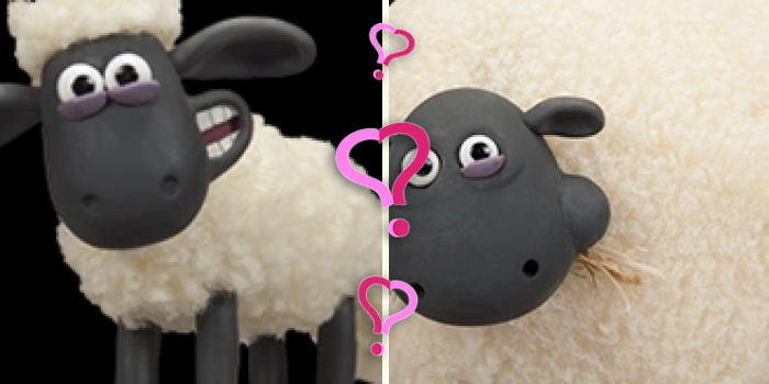Cover Photo: Which Shaun the Sheep Character Are You Quiz
